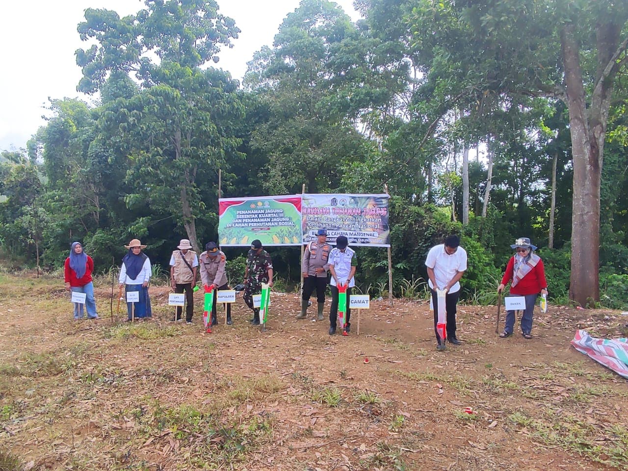 DESA PATIONGI MELAKSANAKAN PENANAMAN JAGUNG SERENTAK